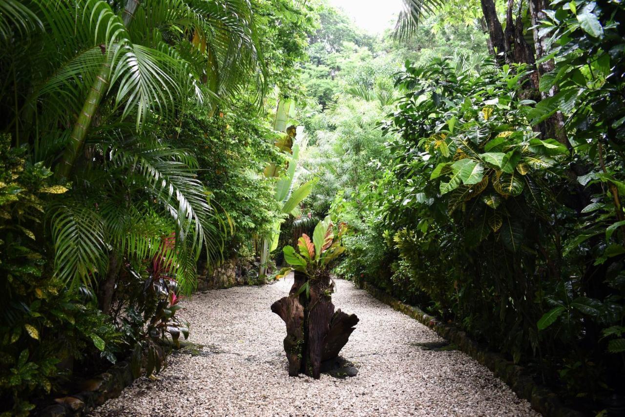 Pachamama Lodge Playa Santa Teresa  Экстерьер фото